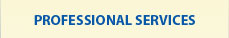 Professional Services