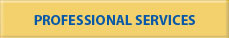 Professional Services